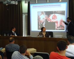 3o-symposio